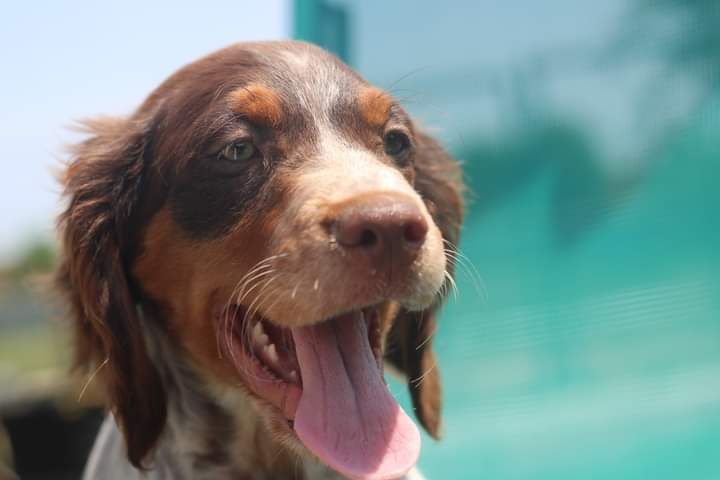 Uhtred De La Plaine D'oya